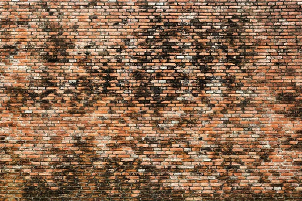 Vecchi mattoni muro — Foto Stock