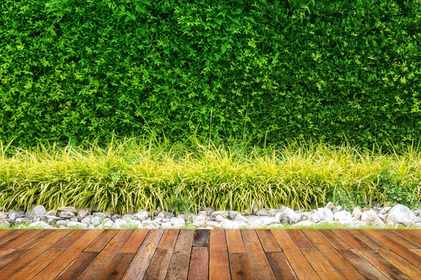 Πράσινα φύλλα τοίχο με παλιό ξύλινο πάτωμα στον κήπο. — Φωτογραφία Αρχείου