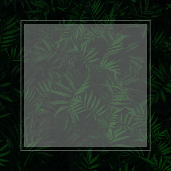 Marco abstracto sobre hojas verdes fondo de pared — Foto de Stock