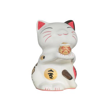 şanslı kedi beyaz arka plan üzerinde izole