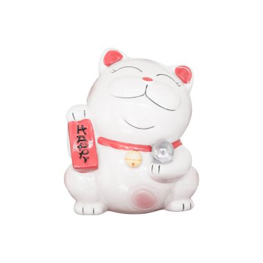 şanslı kedi beyaz arka plan üzerinde izole