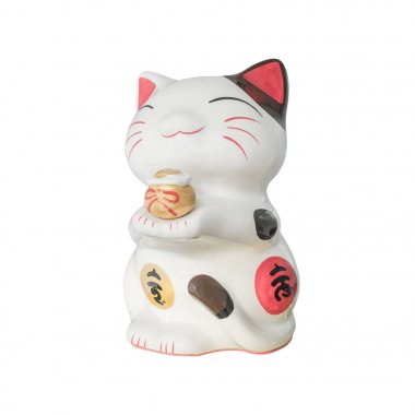 şanslı kedi beyaz arka plan üzerinde izole