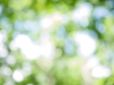 Cavador de tierra masivo