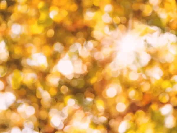 Hermoso fondo bokeh naranja — Foto de Stock