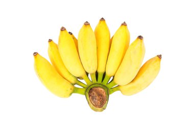 muz üzerinde beyaz izole