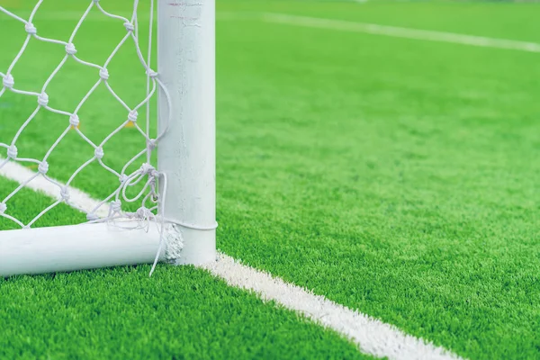 Golo de futebol com campo de grama . — Fotografia de Stock