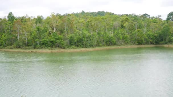 Time Lapse Tailandia Vista Del Paisaje Del Bosque Tropical — Vídeos de Stock