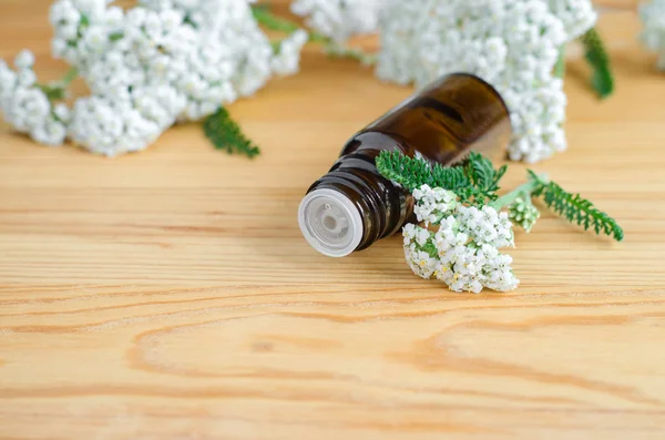 Small bottle of essential yarrow oil — Stock Photo, Image