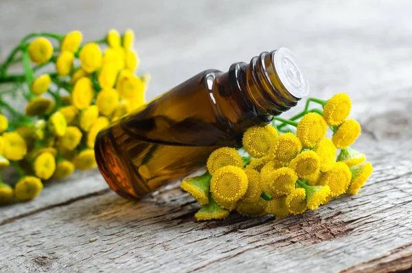 Liten flaska väsentliga renfana olja — Stockfoto