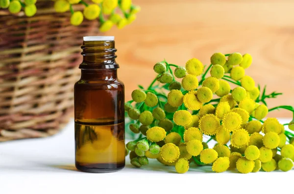 Kleine Flasche ätherisches Stiefmütterchenöl — Stockfoto