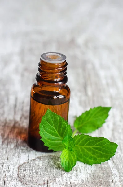 Piccola bottiglia di olio essenziale di menta piperita e foglie di menta fresca — Foto Stock