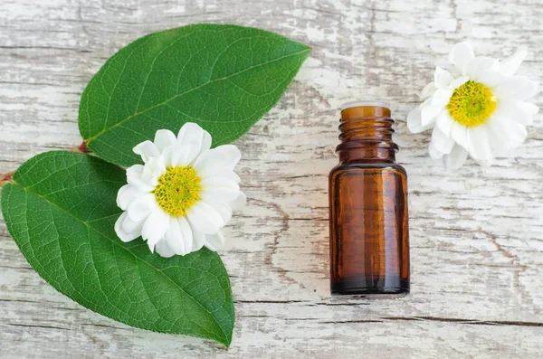 Small bottle of essential oil, fresh leaves and chamomile flowers over wooden background. Top view, copy space. Aromatherapy and spa concept. — Stock Photo, Image