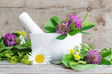 Beyaz porselen havan topu yonca ve papatya çiçekler şifa ile. Bitkisel ilaç, ev yapımı organik kozmetik ve spa konsept. 