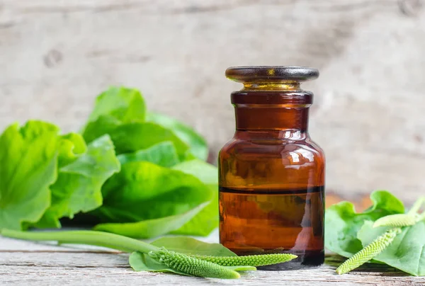 Flacone farmacia e una maggiore piantaggine (psyllium) foglie e picchi di fiori. Concetto di medicina vegetale . — Foto Stock