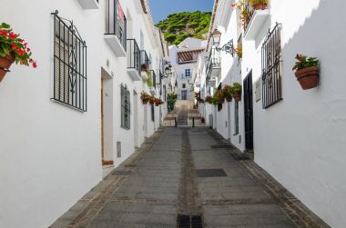 Siesta zamanında Mijas şehrin sakin sokakta. Andalusia, Güney İspanya, provence Malaga, Costa del Sol tipik beyaz kasabası.
