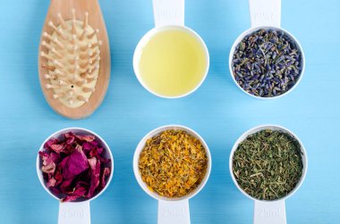 Ahşap saç fırçası ve zeytinyağı, Kuru kadife çiçeği, lavanta, maydanoz ve köpek gül çiçek plastik kaşık toz. Aromaterapi, bitkisel ilaç ve doğal cilt ve saç bakım kavramı. Üstten Görünüm, kopya alanı. 