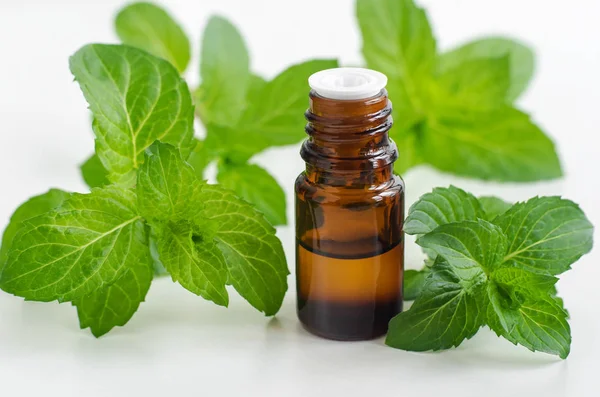 Piccola bottiglia con olio essenziale di menta piperita. Foglie di menta fresca da vicino. Ingredienti per aromaterapia, spa e fitoterapia. Copia spazio — Foto Stock