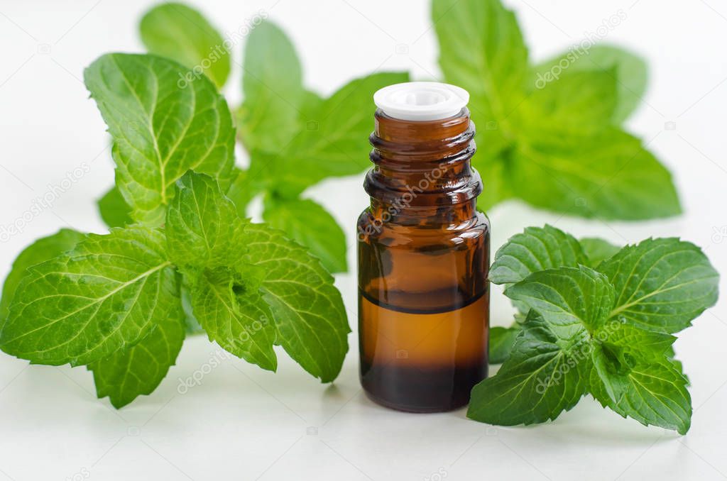 Small bottle with essential peppermint oil. Fresh mint leaves close up. Aromatherapy, spa and herbal medicine ingredients. Copy space   