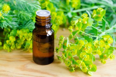 Eski ahşap arka planda gerekli yağ (tentür, infüzyon, decoction) bulunan küçük şişe. Aromaterapi, spa ve bitkisel ilaç malzemeleri. Boşluğu kopyala  