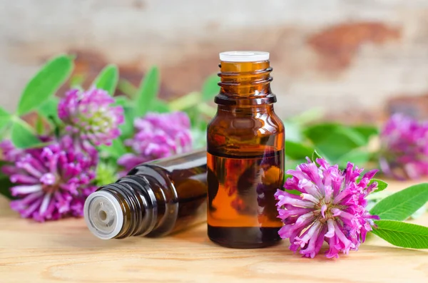 Two small bottles with red clover extract (tincture, infusion, oil). Aromatherapy, spa and herbal medicine ingredients. Copy space — Stock Photo, Image