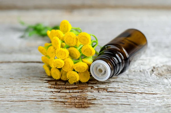 Kleine Flasche Mit Ätherischem Aus Blauem Stiefmütterchen Alter Holzuntergrund Aromatherapie — Stockfoto