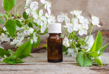 Eski ahşap arka planda gerekli yağ (tentür, infüzyon, parfüm) içeren küçük cam şişe. Beyaz çiçekler kapanıyor. Aromaterapi, spa ve bitkisel ilaç malzemeleri. Boşluğu kopyala. 