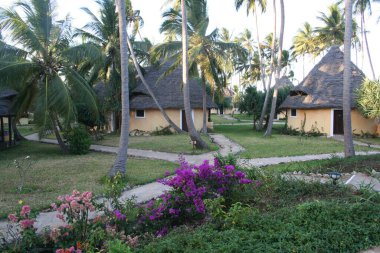 Resort peyzaj tasarımı. Afrika. Tanzanya 'da. Zanzibar Adası. Okyanus Bahçesi Tatil Yeri