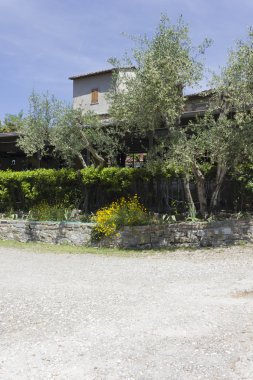 Edy Piu Restoran Tuscan tepelerde açık görünümü 