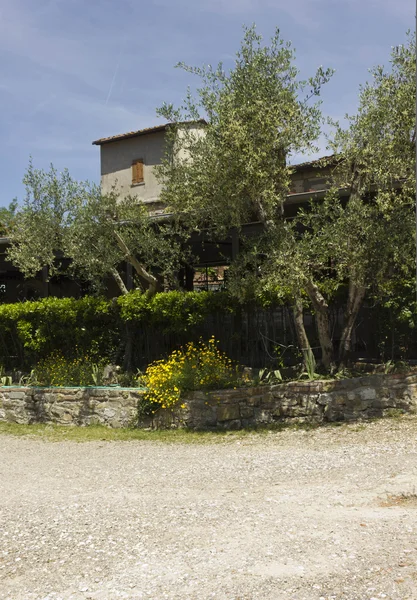 Edy Piu Restoran Tuscan tepelerde açık görünümü 
