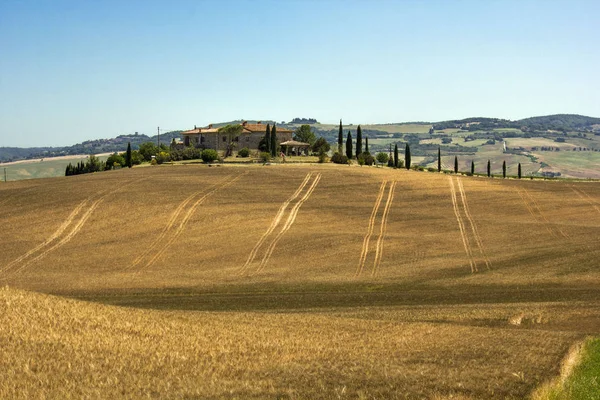 Tuscany Val D'Orcia landscape — Stock Photo, Image