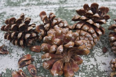 Süper yakın çekim rustik bir masada