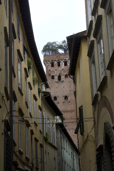 Gamla byggnader i Lucca med det berömda Guinigi-tornet i bakgrunden — Stockfoto
