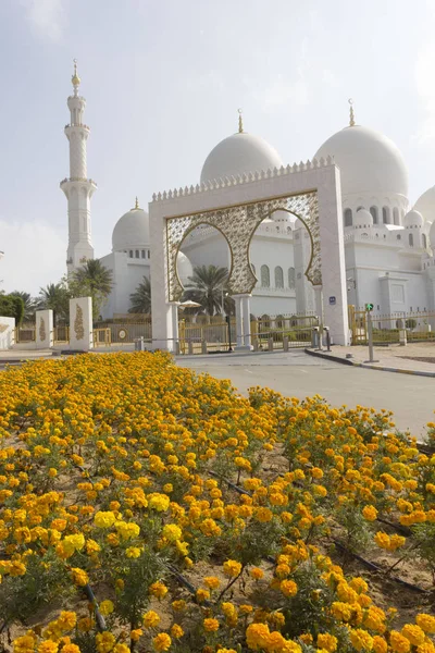 Abu Dhabi Оаэ Декабря 2017 Желтые Цветы Входа Мечеть — стоковое фото