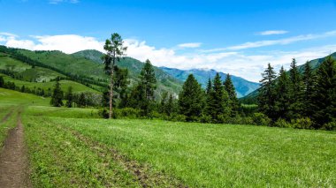 Altai dağlarındaki açıklık.