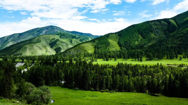 Vallée Rivière Akkem Prairies Pittoresques Dans Altaï — Photo