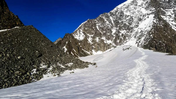 Sendero Glaciar Las Montañas Altai —  Fotos de Stock