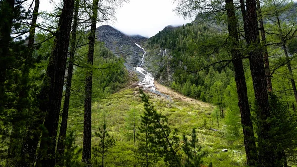 Cascade Près Lac Akkem Dans Altaï — Photo