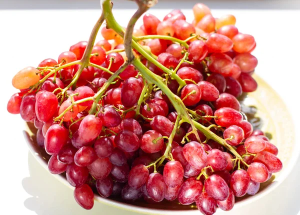 Gammal Tallrik Vit Bakgrund Vackra Gäng Mogna Vindruvor — Stockfoto