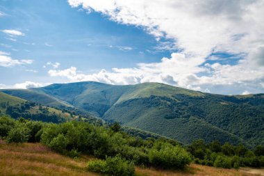 Bulutlu bir gökyüzüne karşı çeşitli bitki örtüsü olan dağlı dağlar, doğal arkaplan