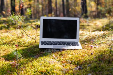 Ormanda yosun üzerinde açık dizüstü bilgisayar. iş seyahatleri için mobil internet. 