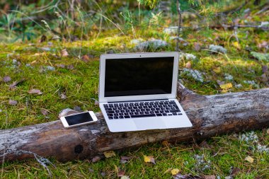 Ormanda dizüstü bilgisayar ve cep telefonu. iş seyahatleri için mobil internet