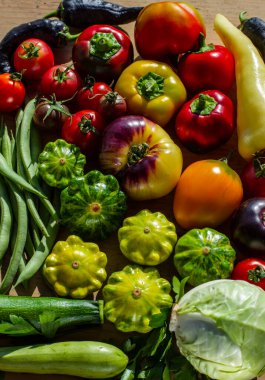 Tahtadaki bir grup sebze: zengin sonbahar hasadı