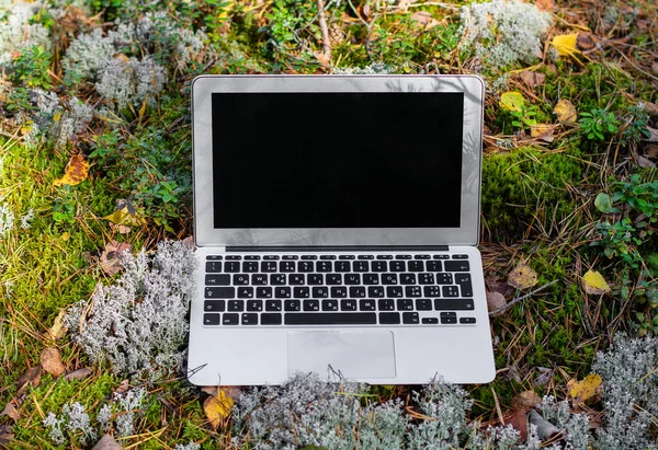 open laptop on forest moss ready for work. mobile internet for business travel job freelance.