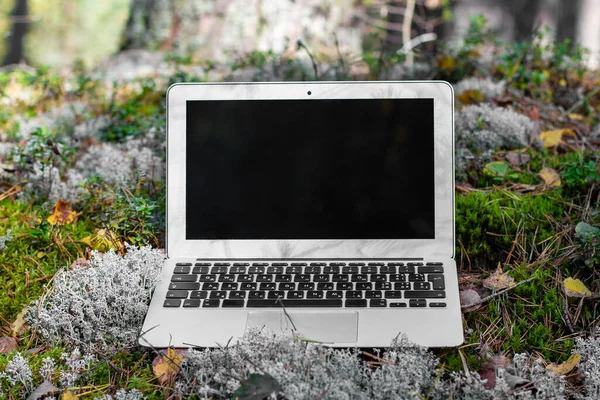 open laptop on forest moss ready for work. mobile internet for business travel job freelance.