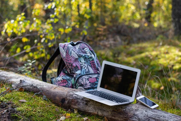 laptop and cell phone and tourist backpack in forest. mobile internet for business travel