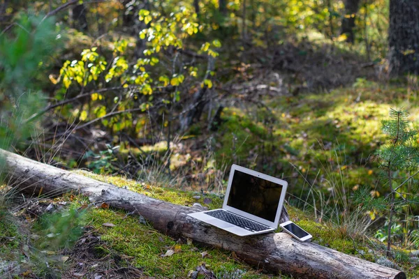 laptop and cell phone in forest. mobile internet for business travel