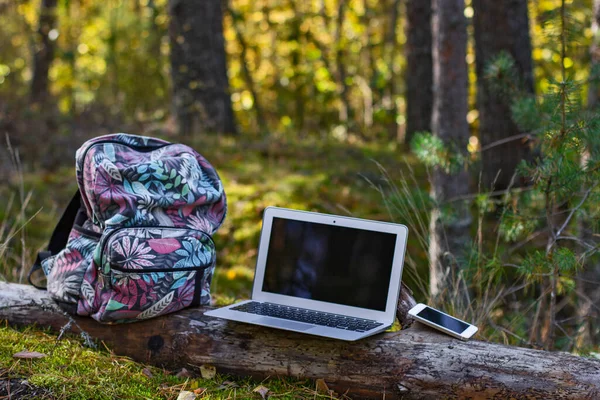 laptop and cell phone and tourist backpack in forest. business travel, Mobile Internet.mobile internet for business travel