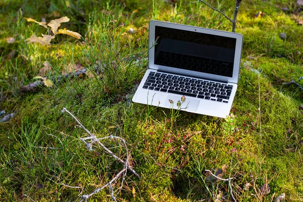 Ormandaki dizüstü bilgisayar: Uzaktan kumandalı serbest çalışma. İş seyahatinde mobil internet.