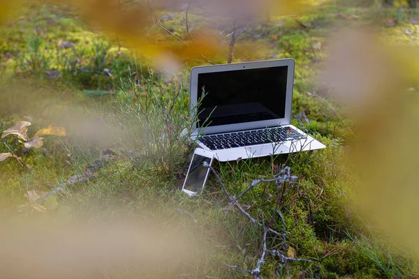 laptop and cell phone in forest.  business travel, Mobile Internet. remote work, freelance.