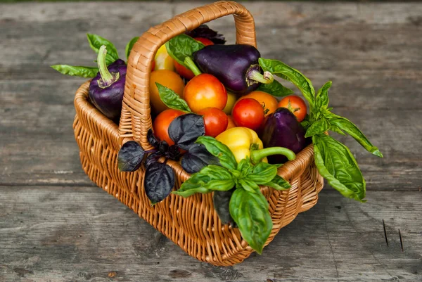 Una Cesta Verduras Pimientos Tomates Albahaca —  Fotos de Stock